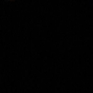 Meet your Posher, Elise